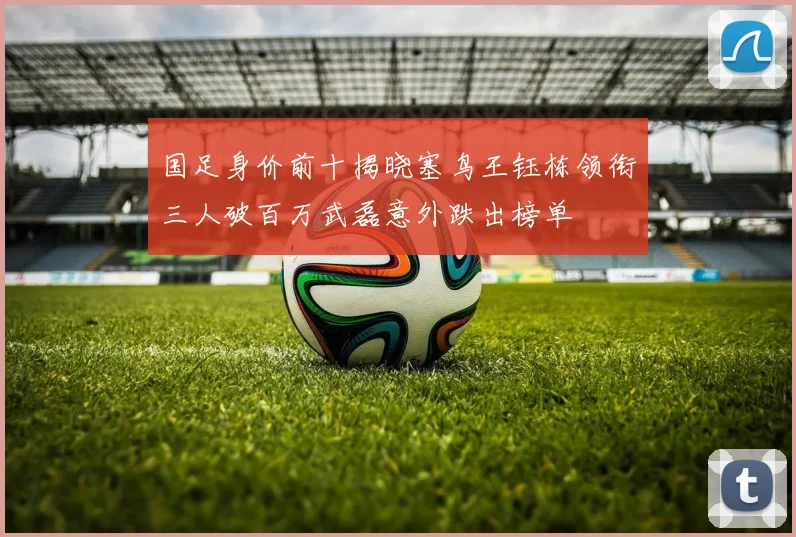 国足身价前十揭晓塞鸟王钰栋领衔三人破百万武磊意外跌出榜单