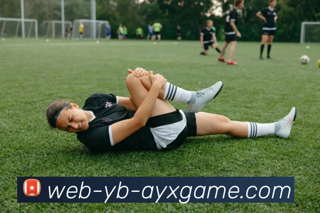 爱游戏APP 封面图